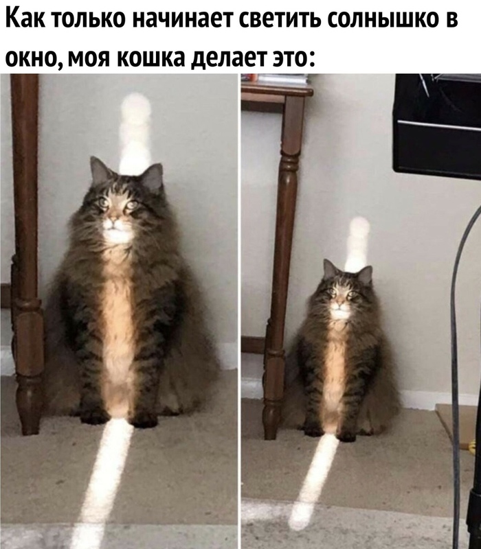 ����� � ��������.