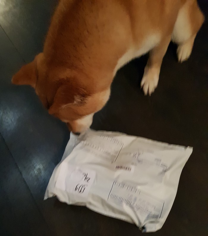 T-shirt crossing. - My, Gift exchange, Secret Santa, , Shiba Inu, Smile, Longpost, Gift exchange report, Exchange of T-shirts