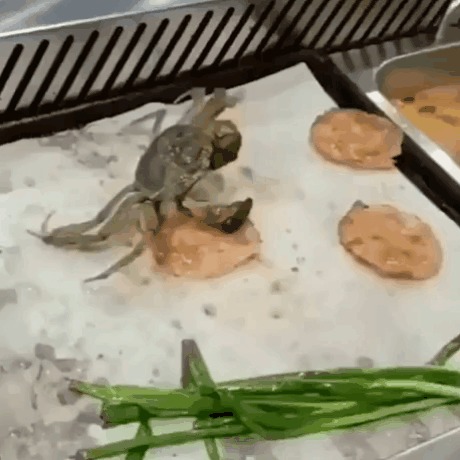 Неудачный побег
