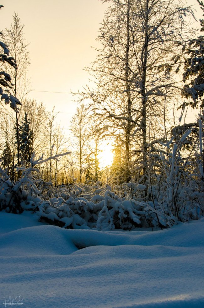 Severe Siberian winter - My, Winter, KhMAO, Nature