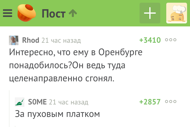 Throw on your shoulders dear - Comments on Peekaboo, Eagles, Orenburg, Comments, Screenshot