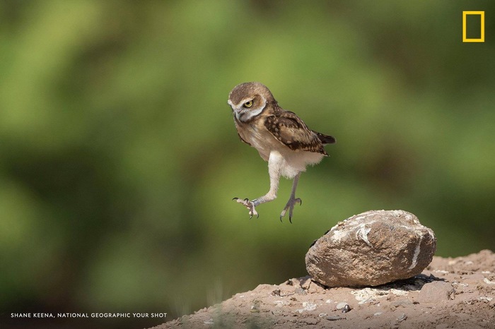 Упрыгиваем с места преступления