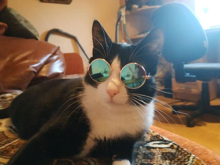 ��� ������� ���� �������. ���, �� ������� �������.