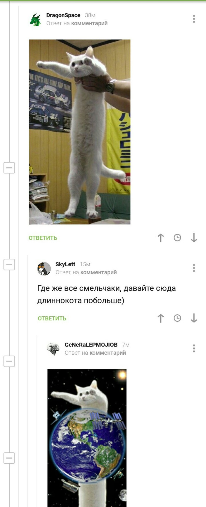 The comments are happy again - Longpost, cat, Screenshot, Comments, Comments on Peekaboo, Longcat