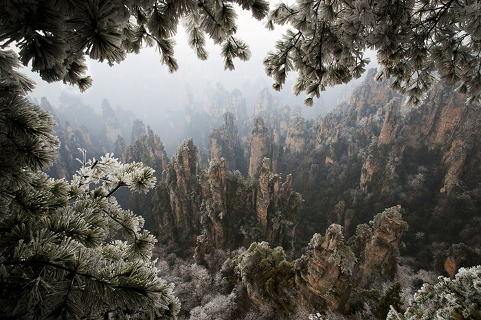 Wulingyuan Mountains, China - China, Wulingyuan, Avatar, Pandora