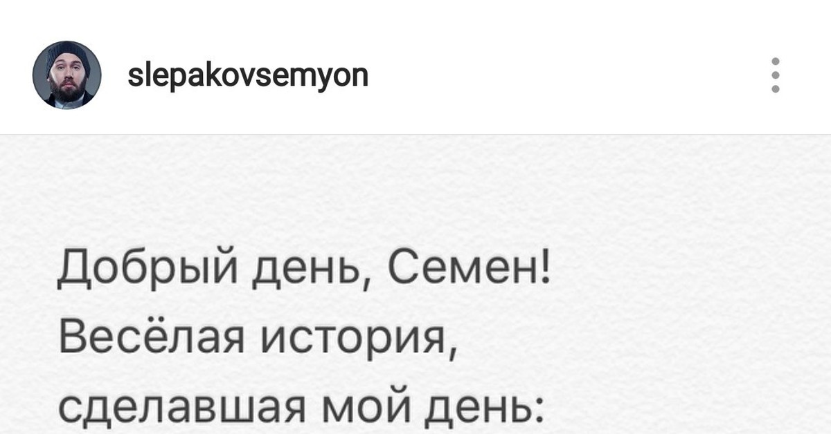 Эти забавные хомяки | Пикабу