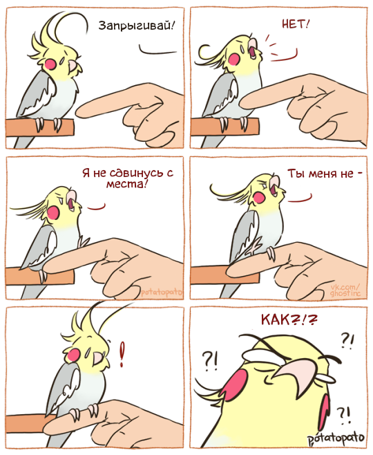 How? - Comics, Translated by myself, A parrot