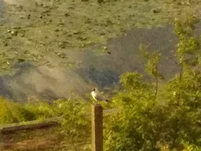 ����� � ������ �������� ����. ����� �� ������ ����� ����������, �����.