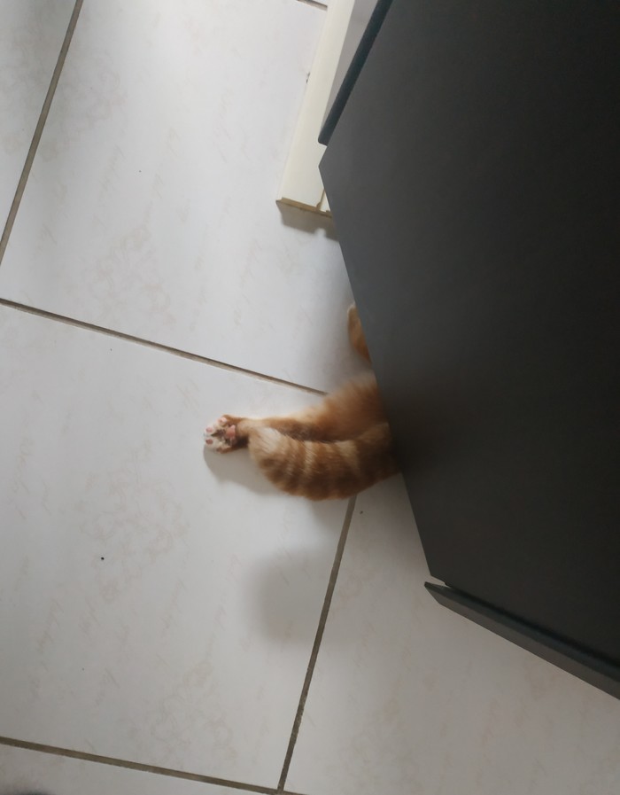    ? , ,  