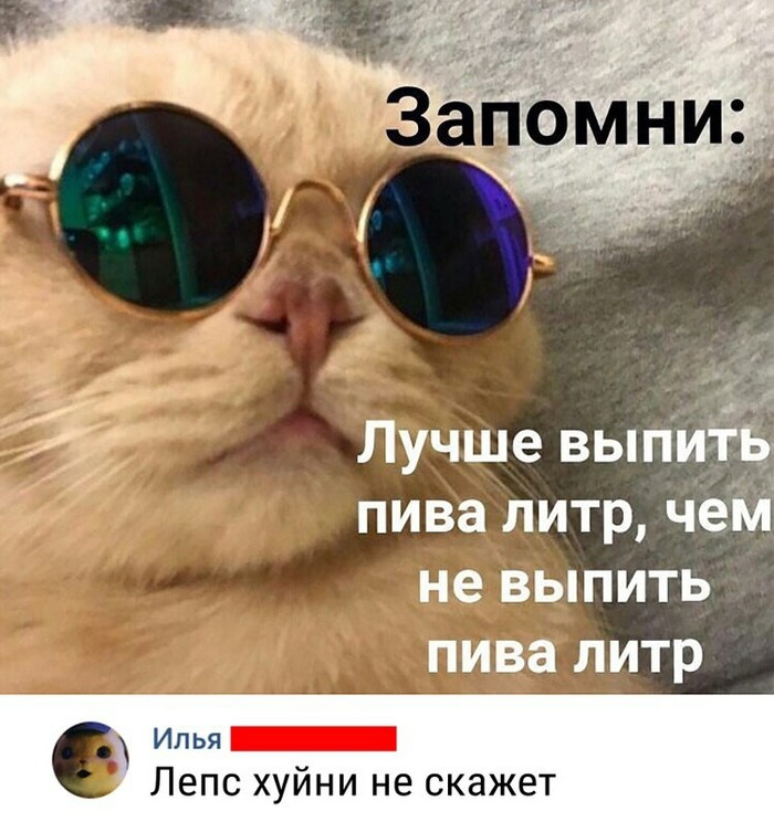 Indeed - cat, Leps, Grigory Leps, Humor, Picture with text, Alcohol