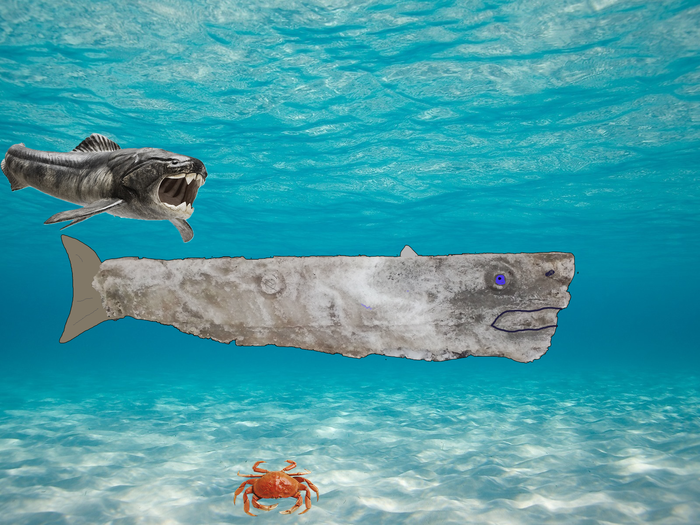       , , Photoshop, , , , Png,  