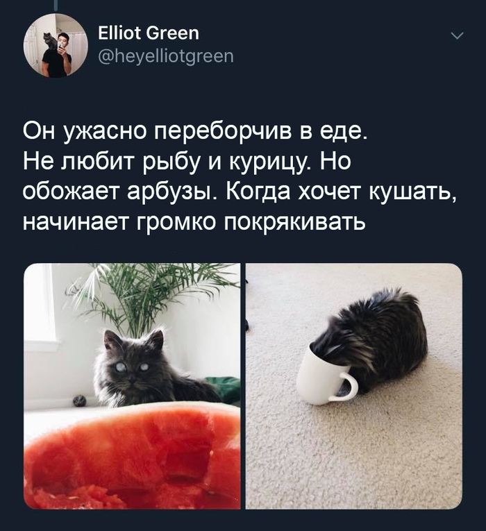 1551713064146667275.jpg