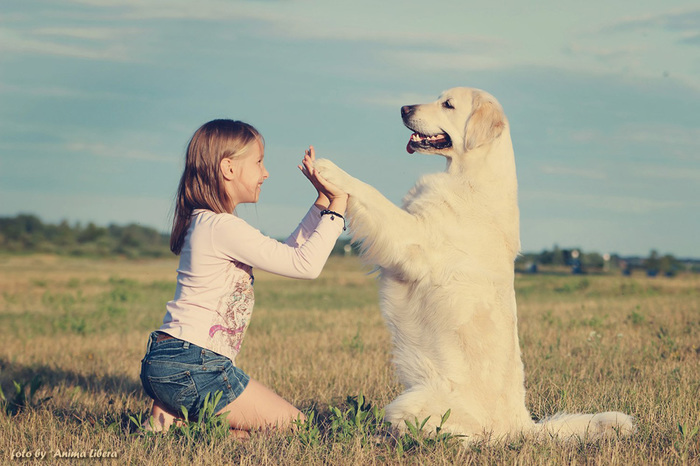 4 простых способа показать собаке вашу любовь Собака, Человек, Длиннопост, Любовь, Психология