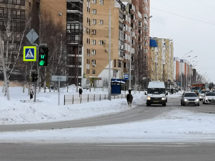 �������� ��� ������ ����� ���������.