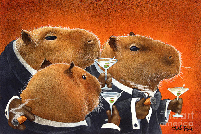 Club of serious capybaras. - Клуб, Images, Capybara, Subtle humor