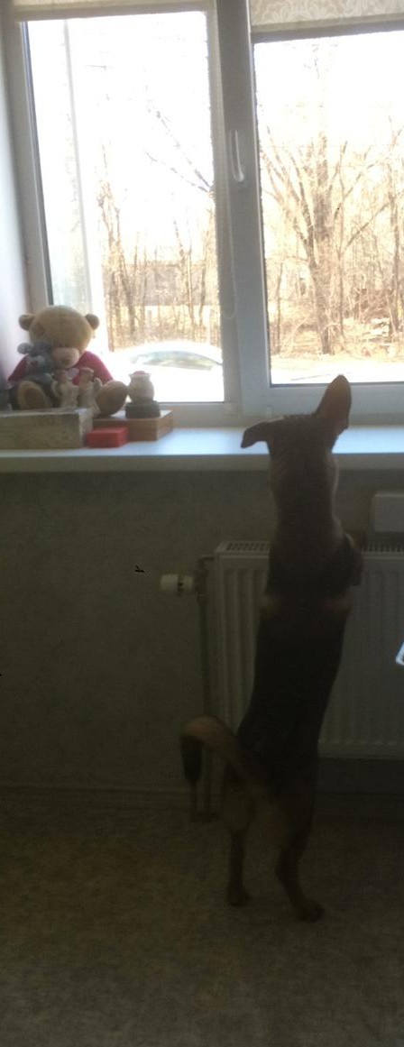 Когда решил погреть лапки