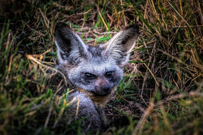 ����, �� �����������!