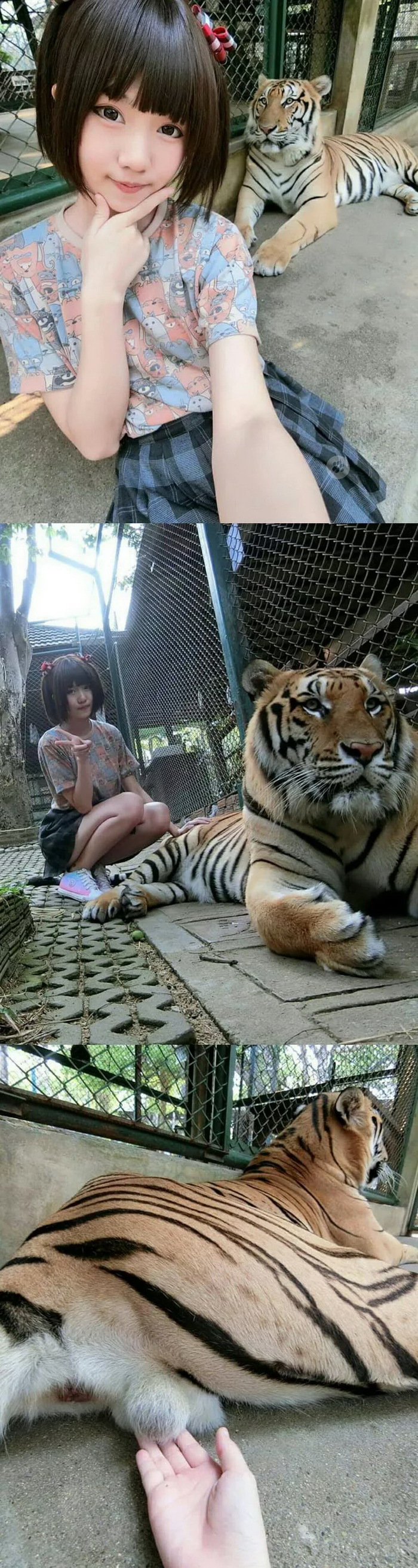 зачем тянуть кота за яйца. 15519067941278864. зачем тянуть кота за яйца фото. зачем тянуть кота за яйца-15519067941278864. картинка зачем тянуть кота за яйца. картинка 15519067941278864.