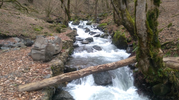 beauty of nature - My, beauty of nature, Nature, River, Mountain river, Sochi, The mountains