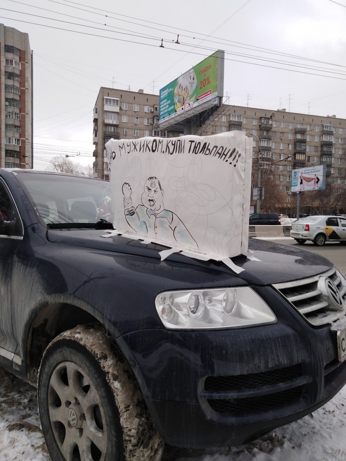 В преддверии праздника - Моё, Будь мужиком, Длиннопост, Тюльпаны, 8 марта, Новосибирск