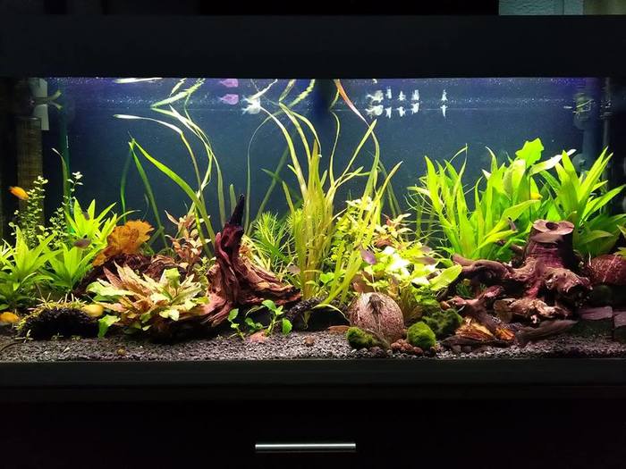 Автор Александр Гудзон