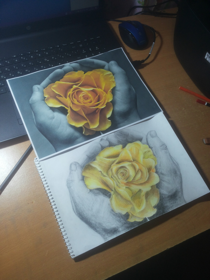 Rose in hand. Yes, yes, I know that the mistakes are apparently not visible, it hurts my eyes. Well, I'm not a master, what really! I'm still learning, here! And I will continue!) - My, the Rose, Arms, Colour pencils, Simple pencil, Longpost, Drawing, Pencil drawing, Flowers