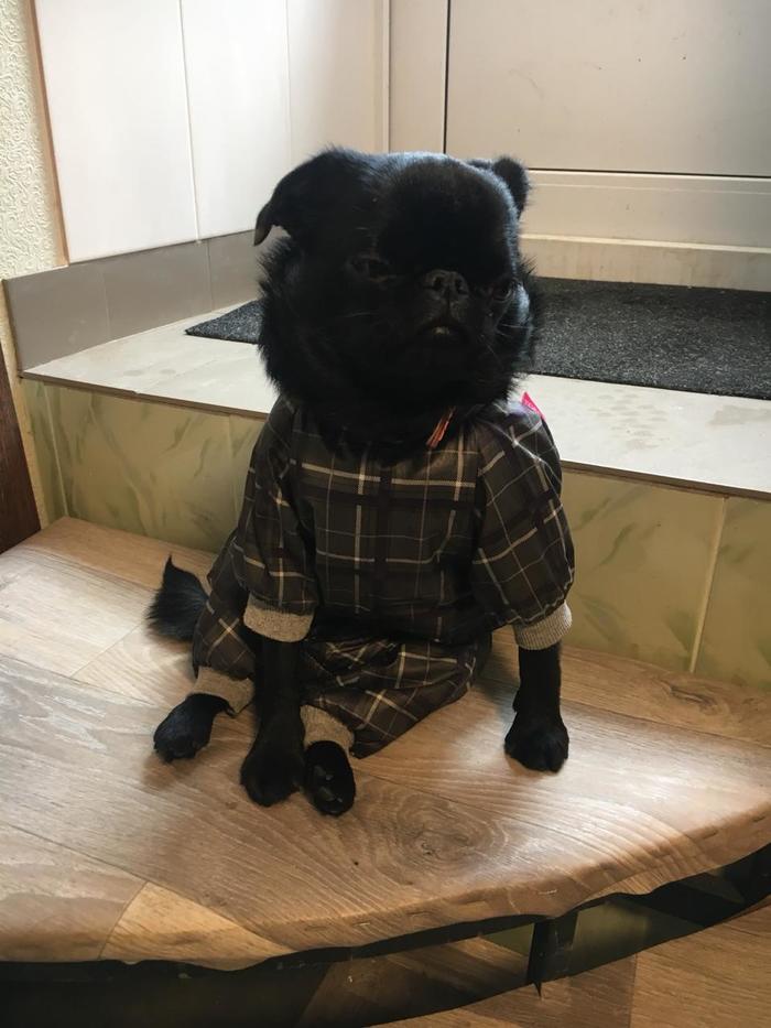 Когда осознал ... и приуныл.