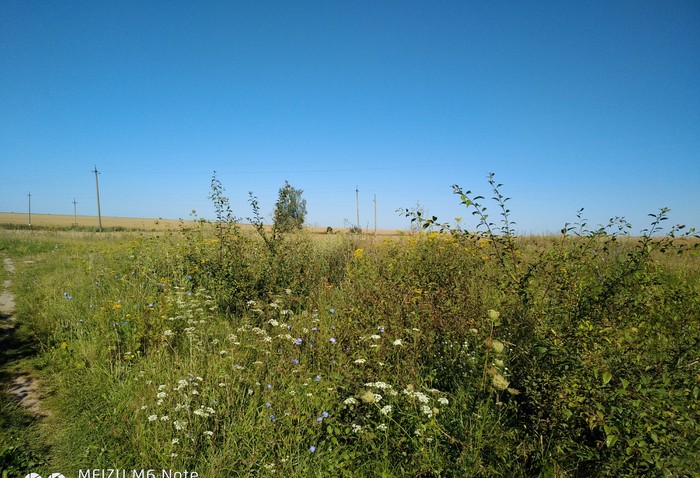 South Belarus in your feed))) - My, Republic of Belarus, Nature, Longpost