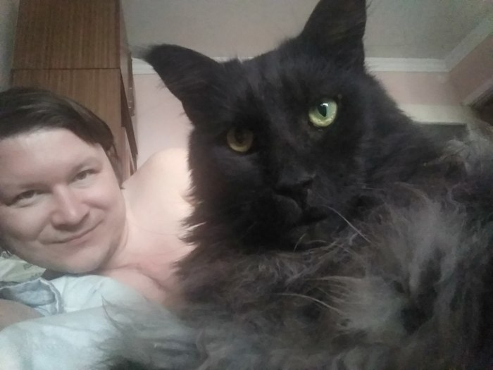 Me and the guy who cleans up after me - My, Maine Coon, Selfie