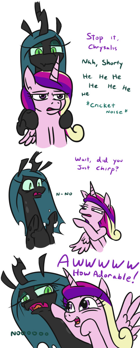   My Little Pony, Queen Chrysalis, Princess Cadance, , Jargon Scott