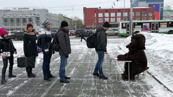 In Novosibirsk, the bear answered any questions from citizens - Novosibirsk, The Bears