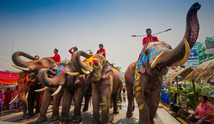 March 13 - National Thai Elephant Day - My, Thailand, Elephants, March, thirteen, Longpost