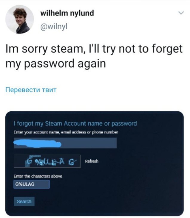 I'm sorry steam, I'll try not to forget my password again - Twitter, Screenshot, Steam, Gulag