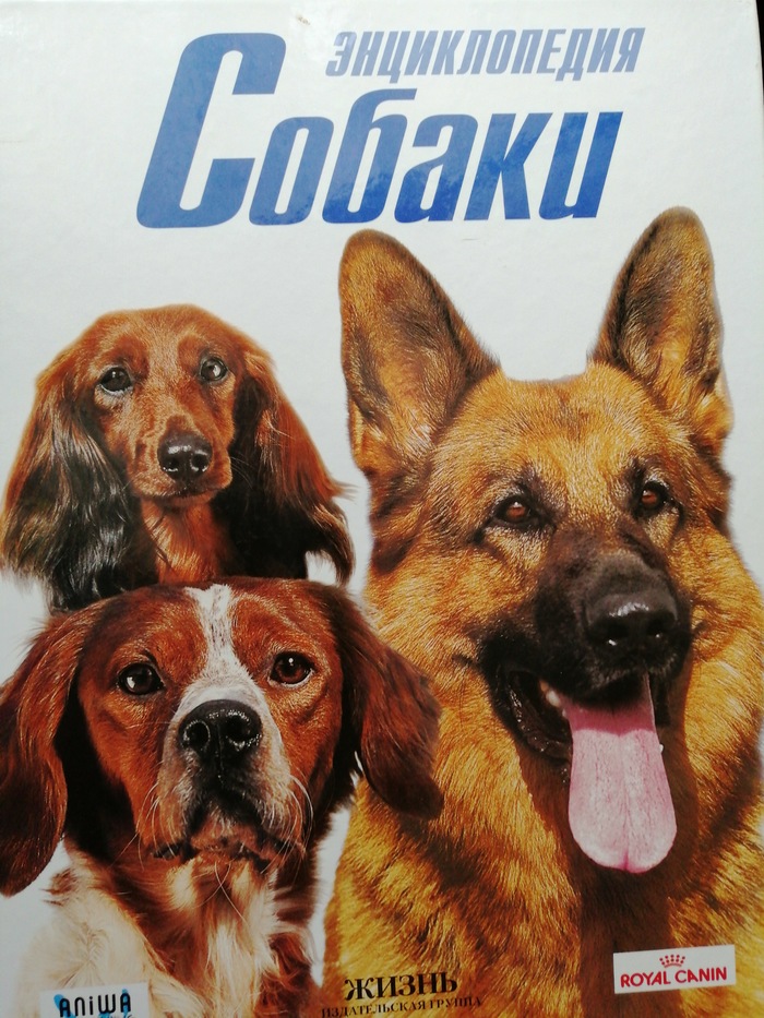 Маразм крепчает