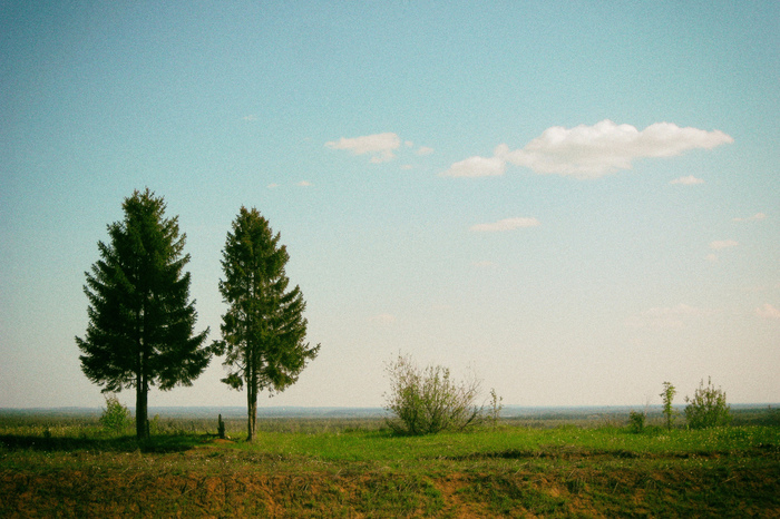 two trees - My, The photo, Nature, Landscape, Kirov, Vyatka, Sky, Open spaces