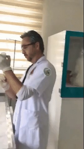 -Это всё мне?