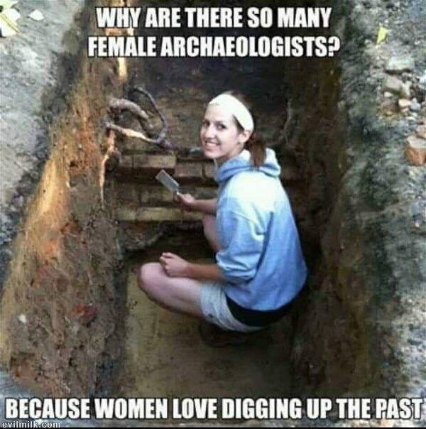 Why are there so many female archaeologists? - Men and women, Archeology, Excavations, Archaeological excavations, Past, Memes, Humor