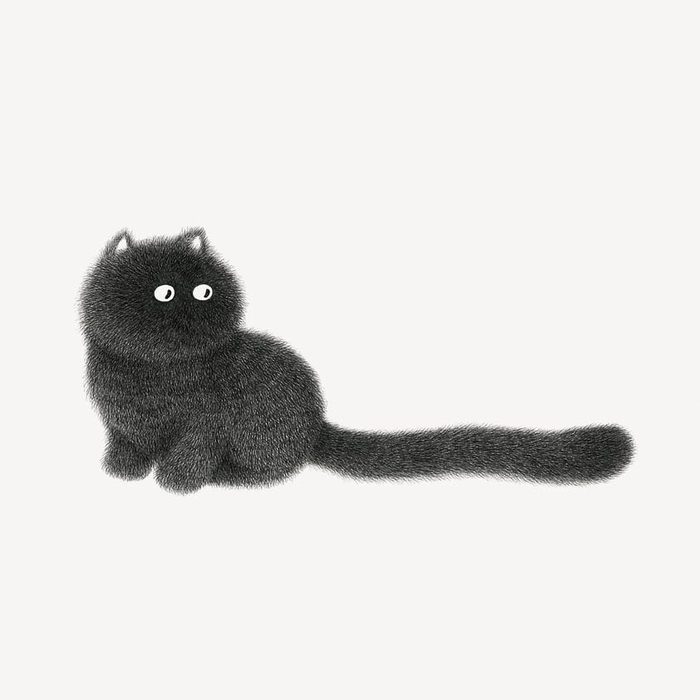 Tail - cat, Tail, Drawing, Kamwei Fong