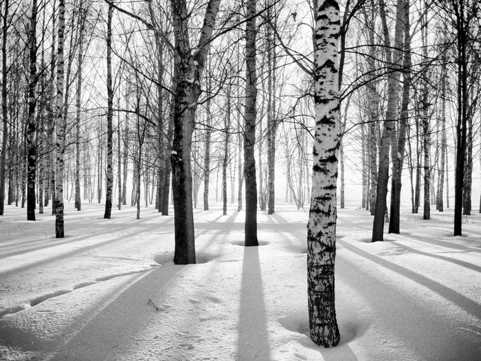 Morning in Muryginsky park - My, The photo, Nature, Landscape, Winter, Morning, Kirov, Vyatka, 