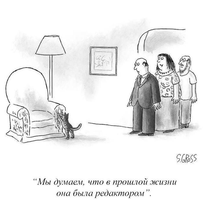 ��� ������ �� ���������, � �� ��������