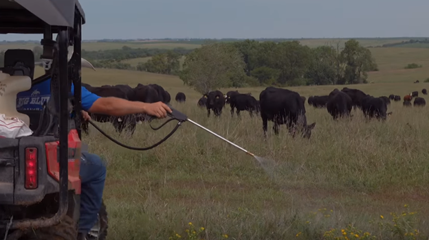 5 Nebraska Farm Secrets - My, Cow, Farm, Farmer, Fattening of bulls, Beef, Cattle, Pasture, Video, Longpost