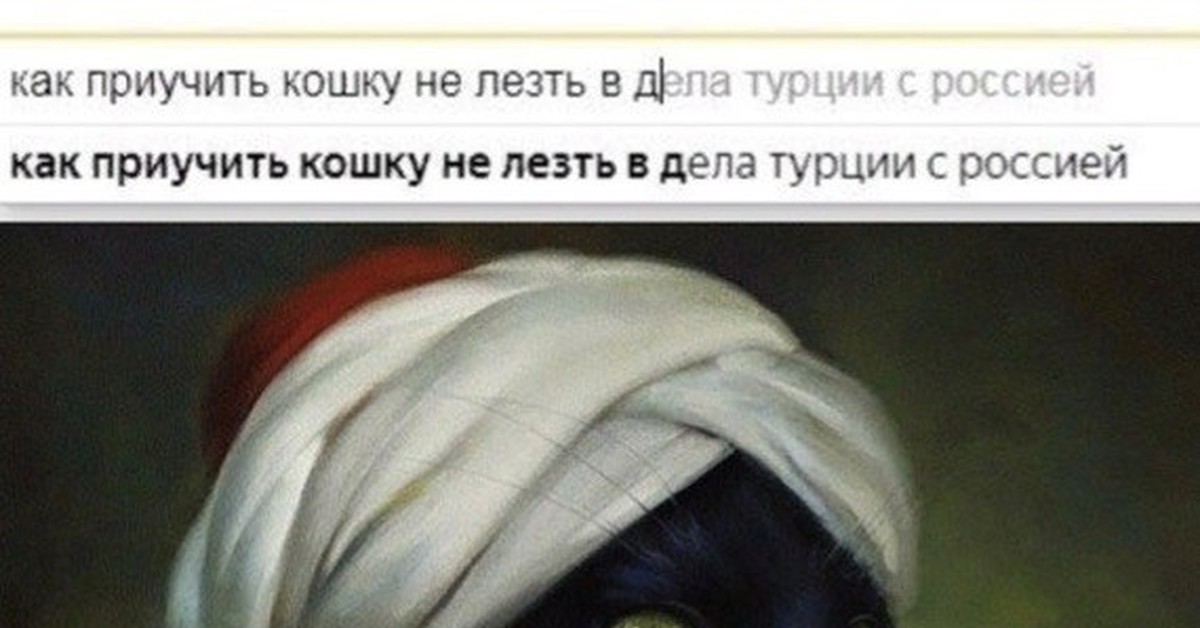 Кошки гуляния жилет. Прикольные коты. Кошки и жалюзи. Кот в горшке. Как отучить кошку лезть.