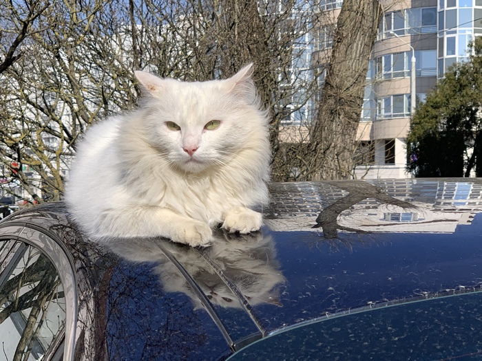 ������� ���