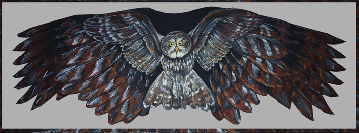Wings Tawny Owl - My, Kai, Boho, Owl, Painting on fabric, Needlework without process