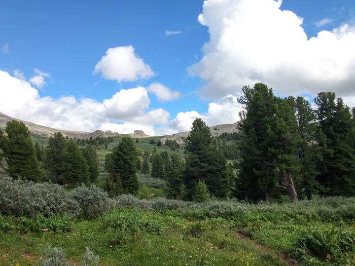 Horseback riding in Altai. - My, Hike, The photo, Mountain Altai, Horses, Longpost, Altai Republic