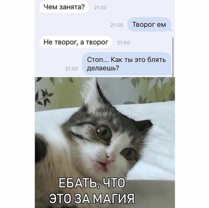 Не творог, а творог... - Творог, Магия, Кот, Юмор, Сообщения