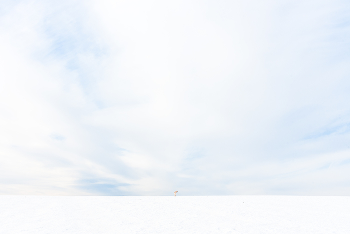 In the middle of the void - My, The photo, Landscape, Minimalism, Dog, Snow, Republic of Belarus, Mogilev