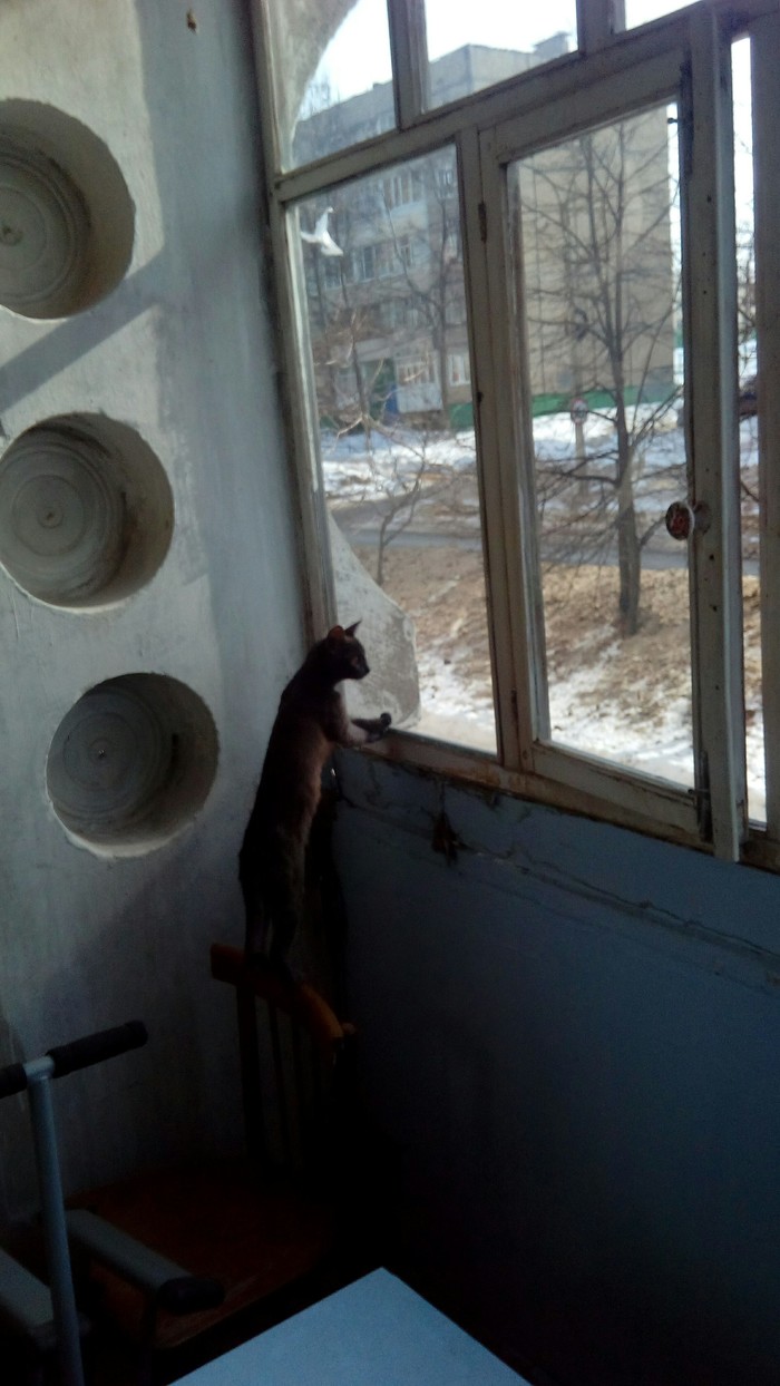 ����� ��� ��� ���� �����....