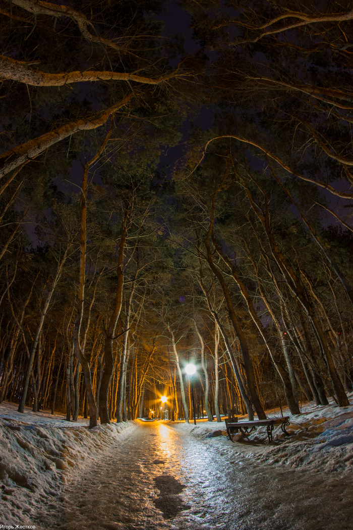 Photo in the park on fish-eye. - My, The photo, Fishye, Photographer, The park, Night, Spring