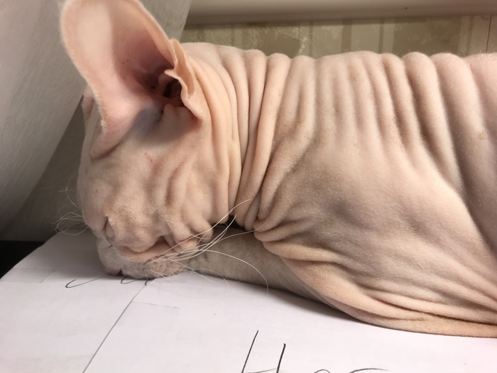 ������� ���